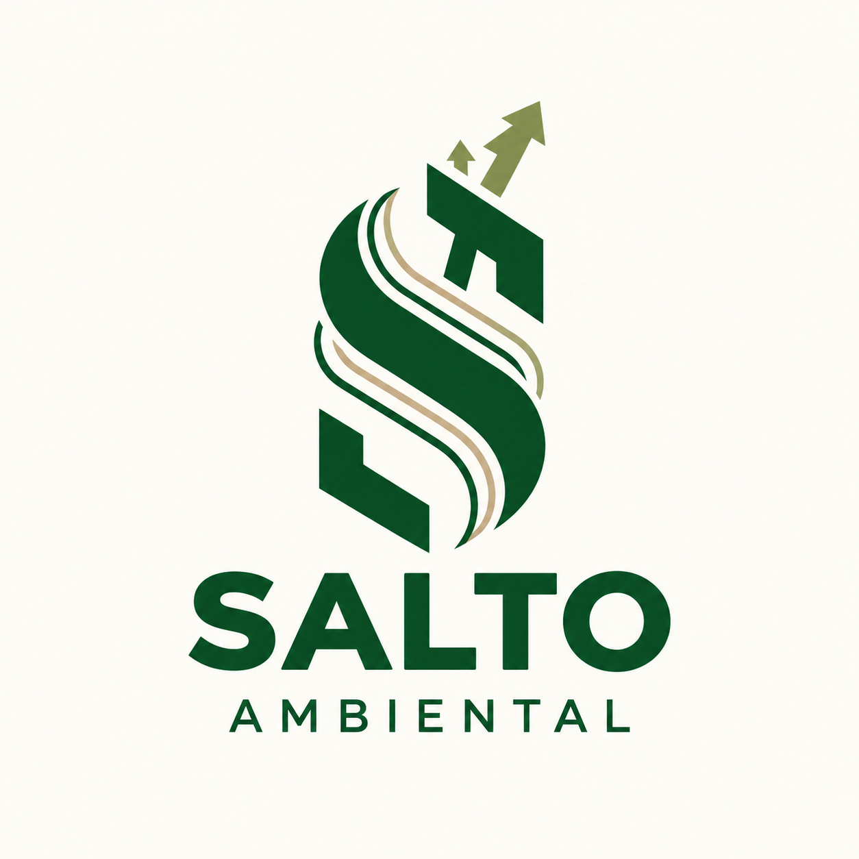 SALTO Ambiental